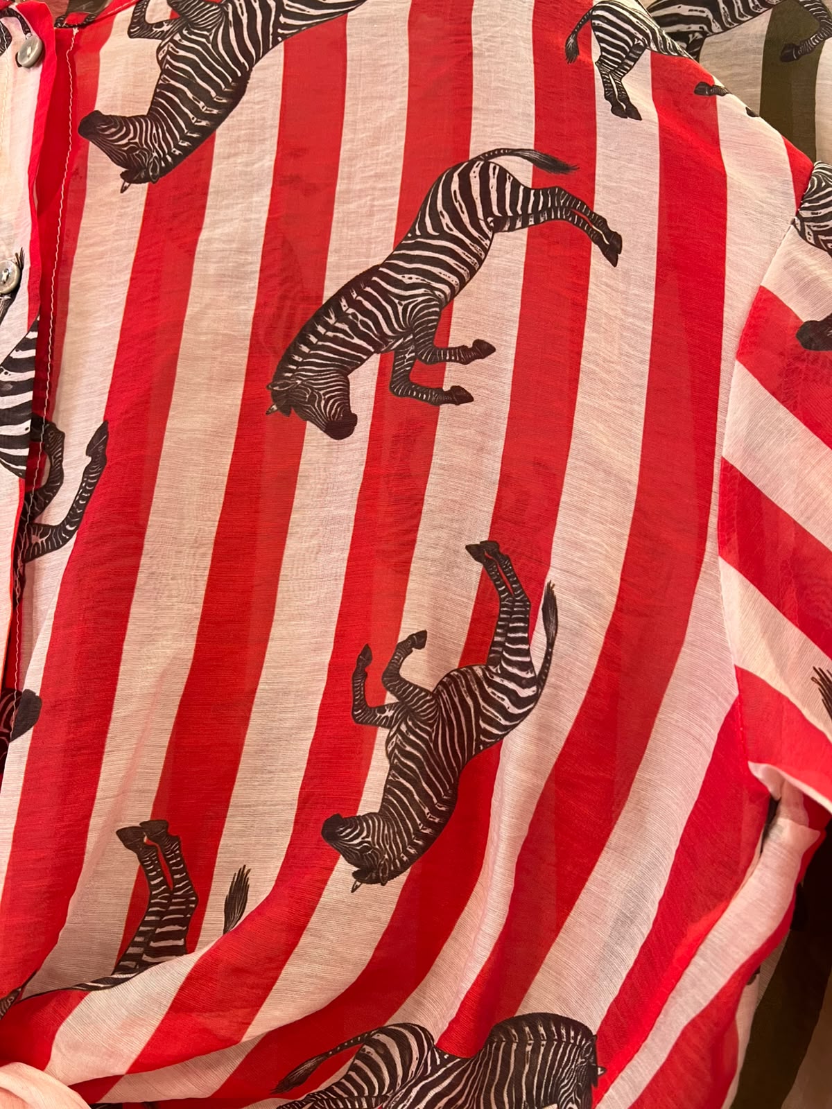Blusa Zebra